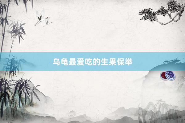 乌龟最爱吃的生果保举